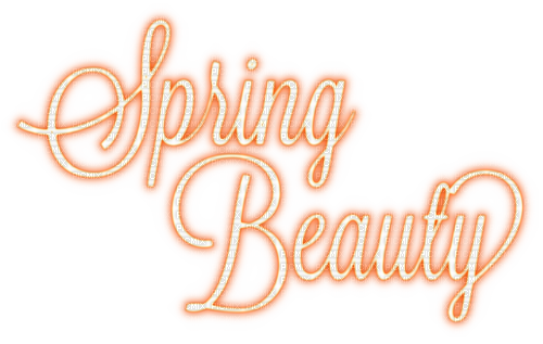 Spring Beauty.Text.Orange - KittyKatLuv65 - Free PNG