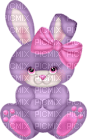 Kaz_Creations Easter Deco Bunny - ücretsiz png
