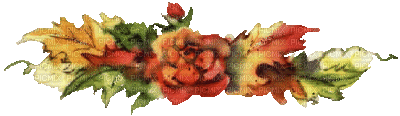 barre fleurs - Ingyenes animált GIF