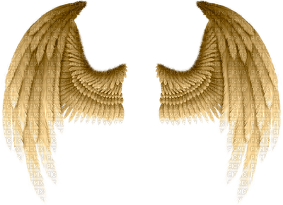 wings, siivet - PNG gratuit