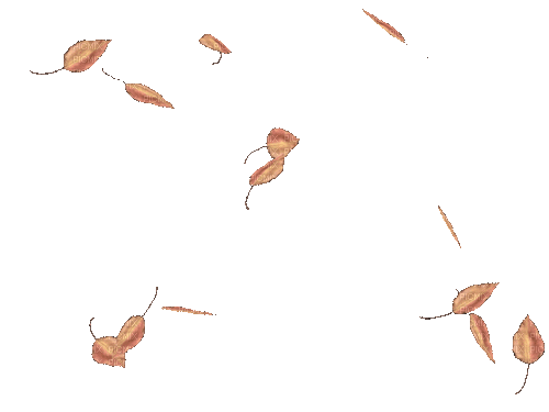 autumn automne herbst milla1959 - Bezmaksas animēts GIF