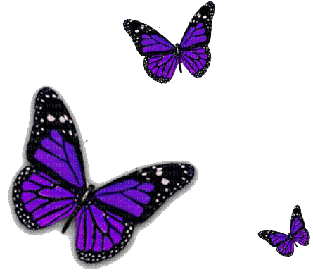 butterflies - безплатен png