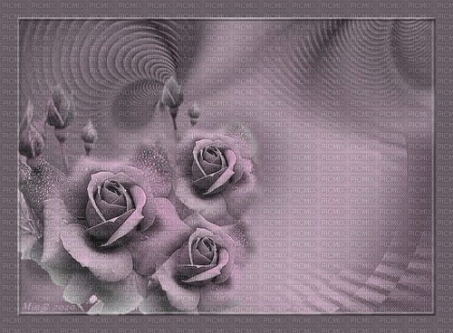 bg-background-lila--purple flowers--blommor - 免费PNG