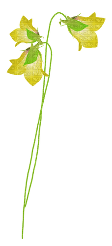 kikkapink deco scrap flower - ücretsiz png