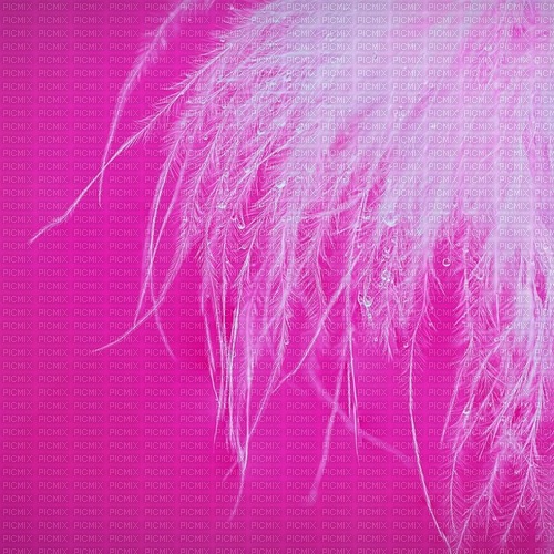 Background Pink - Free PNG