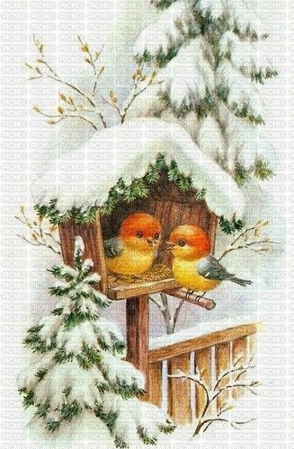 hiver oiseaux - безплатен png