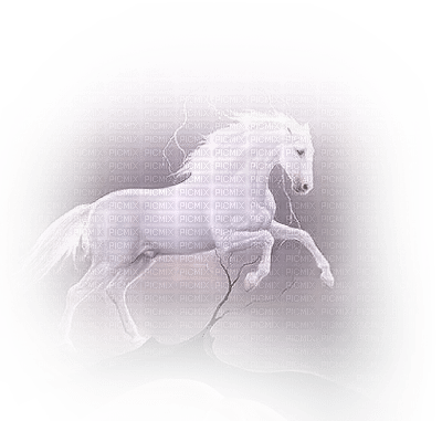 Kaz_Creations Animals Animal Horse - ücretsiz png