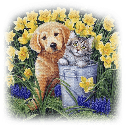 Puppy.Kitten.Brown.Gray.Yellow - By KittyKatLuv65 - gratis png