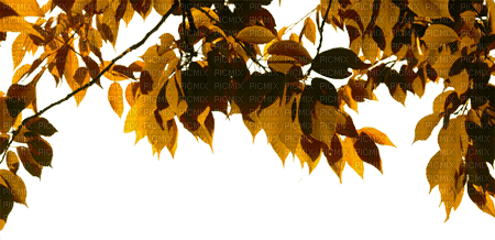 Borde de  hojas de otoño - png ฟรี