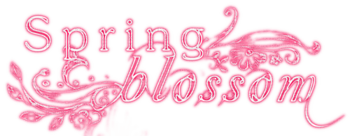 Spring Blossom.Text.Pink - Free PNG