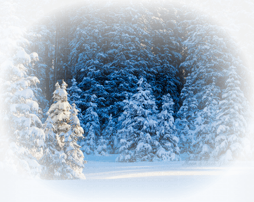 noel,christmas,winter,paysage,Pelageya - 免费PNG