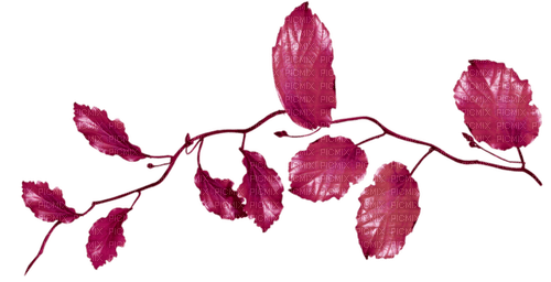 Autumn.Automne.Branch.Red.Victoriabea - PNG gratuit