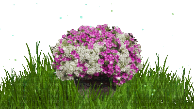 Kaz_Creations Garden Deco Flowers Animated - Animovaný GIF zadarmo