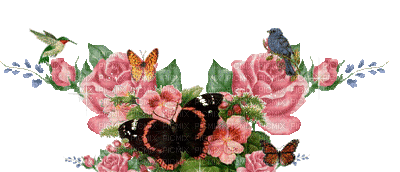 PINK ROSES AND BUTTERFLYS - Darmowy animowany GIF