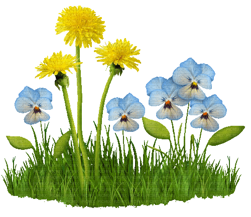 Frühling, Blumen - Animovaný GIF zadarmo