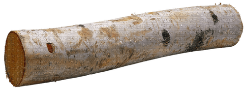 madera tronco dubravka4 - besplatni png