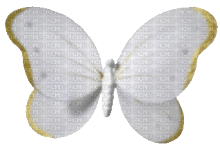 Whit N Gold Butterfly - Бесплатный анимированный гифка