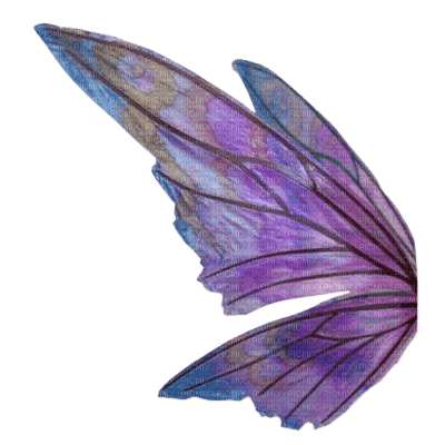 Fairy Wings - Free PNG