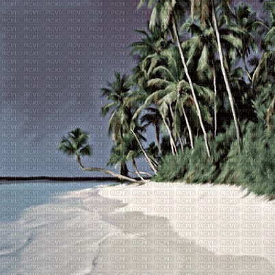 summer landscape - PNG gratuit