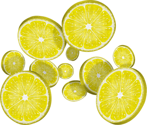 lemon slices Bb2 - png grátis
