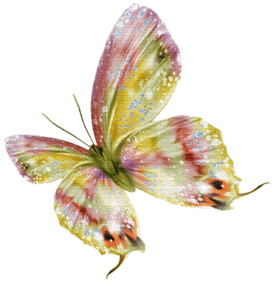 Kaz_Creations Deco Butterfly  Colours - PNG gratuit