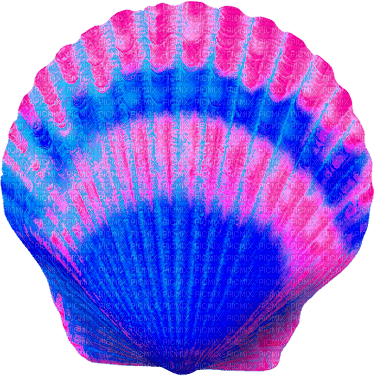Seashell.Blue.Pink - PNG gratuit