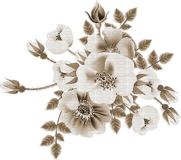 soave deco flowers rose branch sepia - zadarmo png