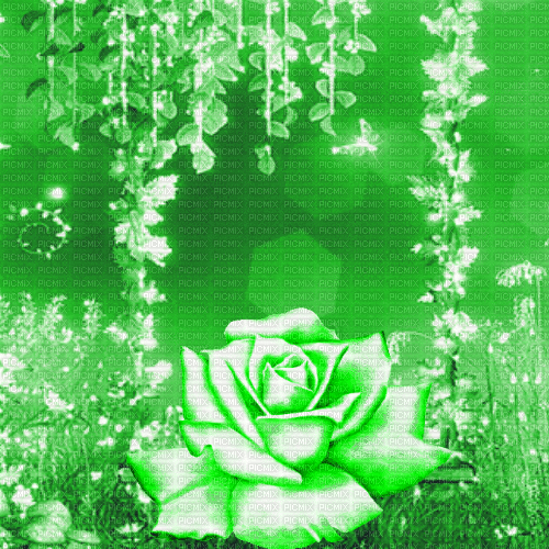 JE /  BG.anim.fantasy.rose.flowers.green.idca - GIF animé gratuit