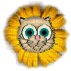 Petz Yellow Flower Cat - Δωρεάν κινούμενο GIF