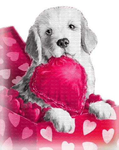 soave valentine deco animals dog heart - besplatni png
