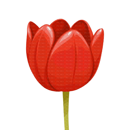 Tulipano rosso - PNG gratuit
