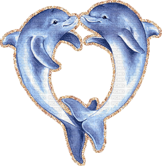 dolphincs - GIF animé gratuit
