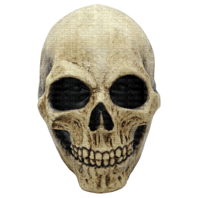 Kaz_Creations Skull - ücretsiz png