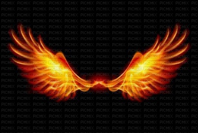 phoenix wings - zadarmo png