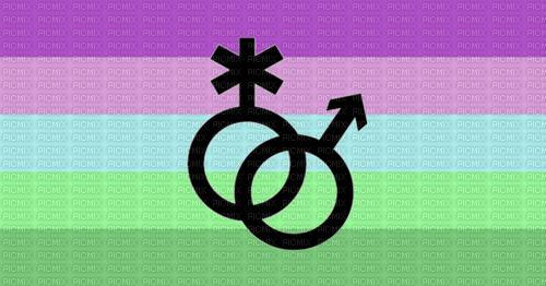 Toric Pride flag with symbol - png ฟรี