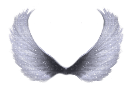 Kaz_Creations Angel Wings - png gratuito