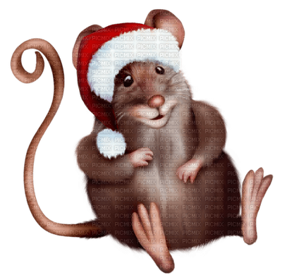 raton - δωρεάν png