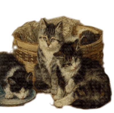 vintage chat cats vintage - 免费PNG