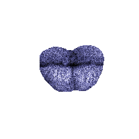 Lip, Lips, Glitter, Deco, Decoration, Purple - Jitter.Bug.Girl - Безплатен анимиран GIF