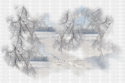 paysage hiver - Besplatni animirani GIF