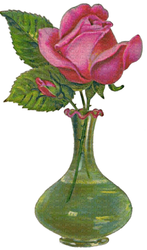 Rose, Vase - PNG gratuit