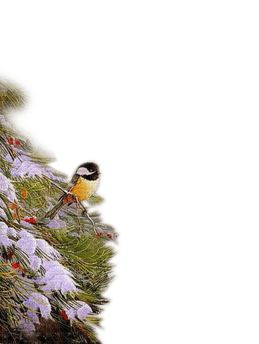Wintervogel - darmowe png