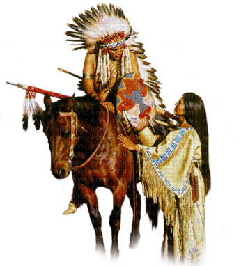 Deluxe Indien Coiffure Accessoire pour Native Wild West AMERICAN COWBOYS fantaisie