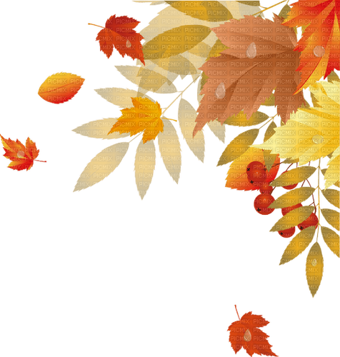 Autumn leaves. Leila - PNG gratuit