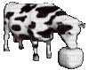 cow - Darmowy animowany GIF