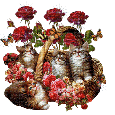 Panier aux chats et roses rouge - Безплатен анимиран GIF