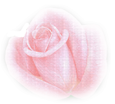 rose rose.Cheyenne63 - PNG gratuit