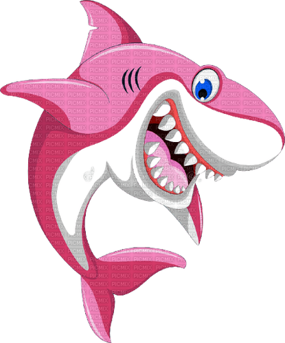 Requin rose. - darmowe png