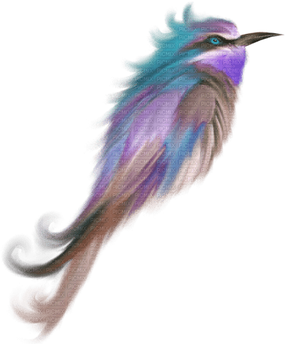 kikkapink deco scrap fantasy bird - PNG gratuit