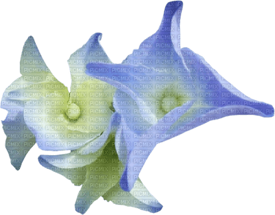 Kaz_Creations  Deco Baby Blue Flowers - PNG gratuit